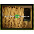 Natural white ginseng root for sale